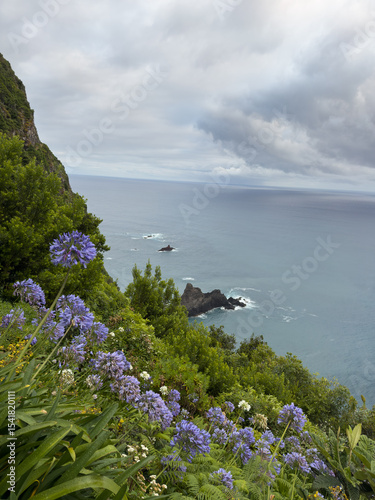 Picturesque green coast of Madeira Island in Portugal, with an impressive view of rocky coastline and ocean waves.