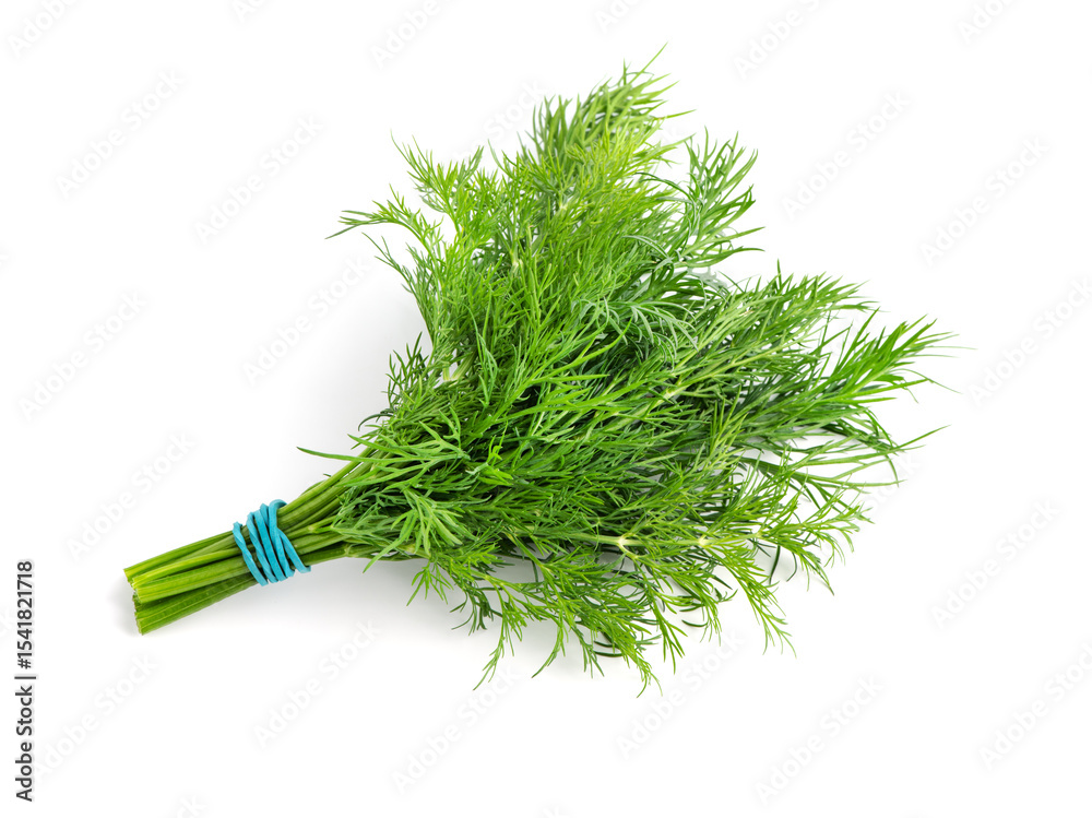 Fototapeta premium Fresh raw dill bunch isolated on white background.