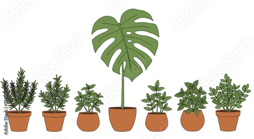 Potted herbs and plants illustration
