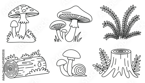 Autumn forest mushrooms, a vintage collection of edible fungi illustrations, including toadstools on trees and grass, ideal for nature-themed designs