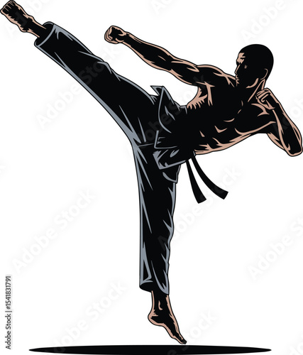 Silhouette of Karate Fighter. Martial arts, sport, discipline, combat, action. Vector illustration on white background