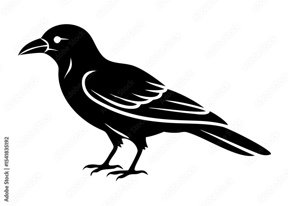 Fototapeta premium Large Single Bird Silhouette – Vector Art on White Background