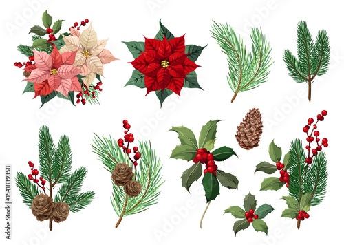 A set of Christmas decor elements on a white background. Vector illustrations of fir trees, cones, holly and poinsettia.