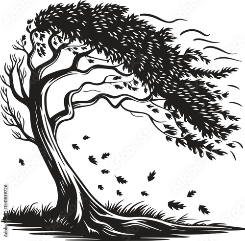 Windblown tree silhouette isolated on white background