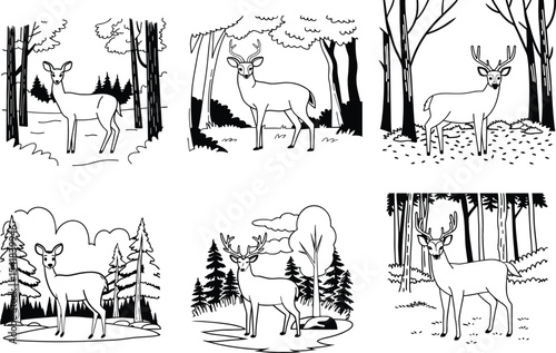 Six Black and White Illustrations of Deer in Forest Settings