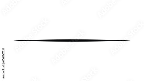Horizontal straight line. Black simple decorative line. Vector illustration eps file.