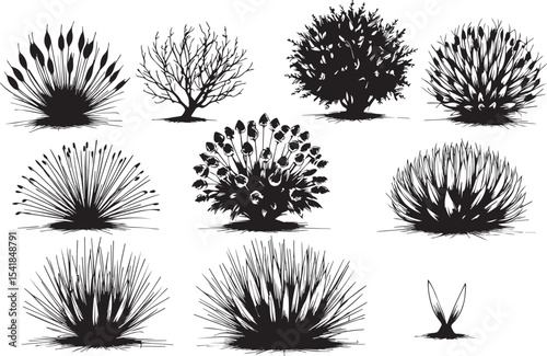 A set of shrubs and trees. Hand drawn vector illustration