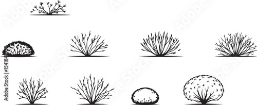 A set of shrubs and trees. Hand drawn vector illustration