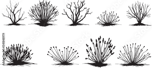 A set of shrubs and trees. Hand drawn vector illustration