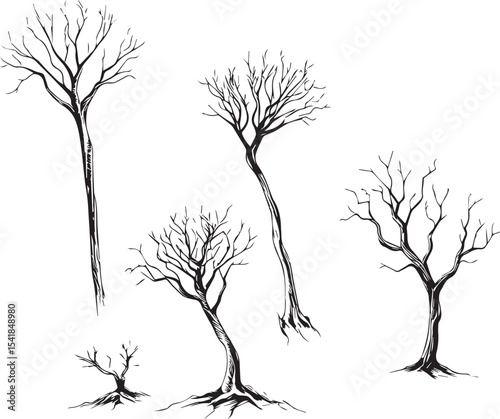A set of shrubs and trees. Hand drawn vector illustration