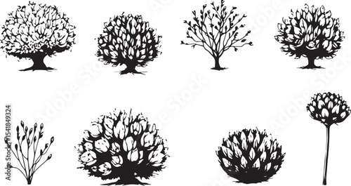 A set of shrubs and trees. Hand drawn vector illustration
