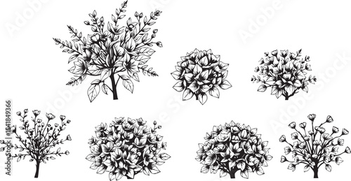 A set of shrubs and trees. Hand drawn vector illustration