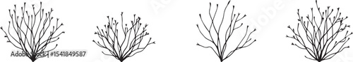A set of shrubs and trees. Hand drawn vector illustration