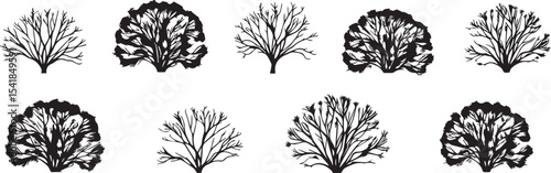 A set of shrubs and trees. Hand drawn vector illustration