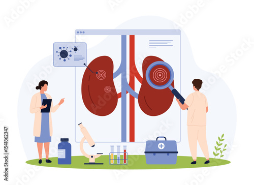 Pyelonephritis, kidney infection diagnosis and treatment, nephrology vector illustration. Cartoon tiny people check urinary system health with magnifying glass, research chronic disease and bacteria