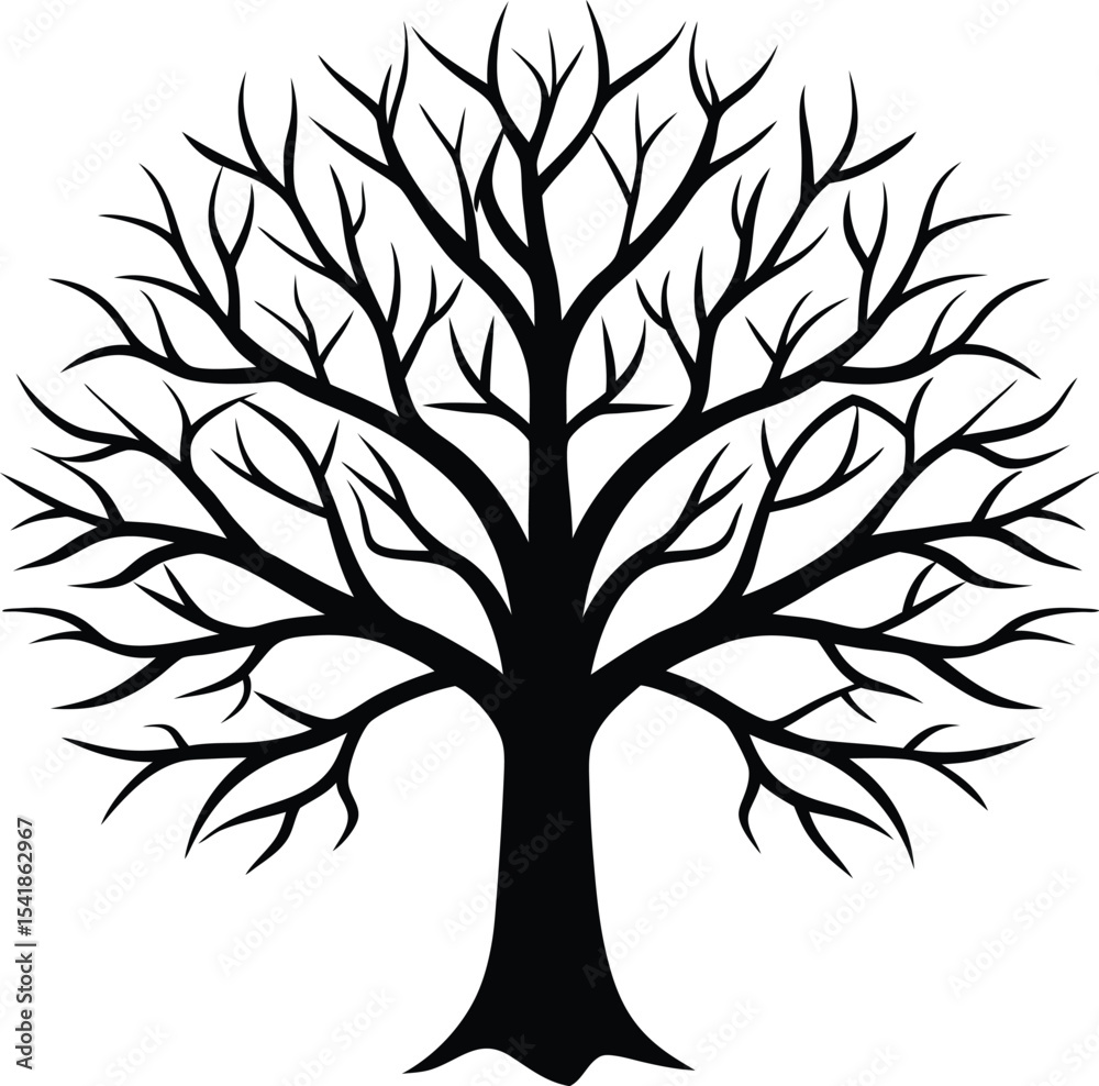 Obraz premium Bare Tree Silhouette