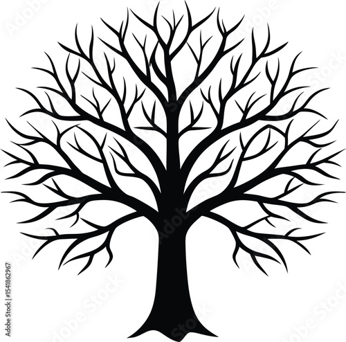 Bare Tree Silhouette