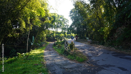 Two-Lane Asphalt Road with Bridge and Shady Bamboo Trees – Rural Infrastructure in Indonesia 