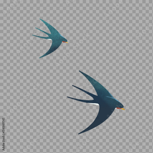 Flying Swallow Birds Vector Illustration on Transparent Background

