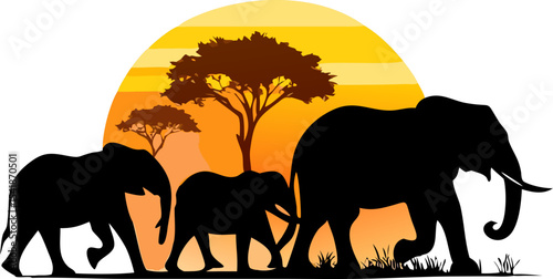 elephants in the sunset