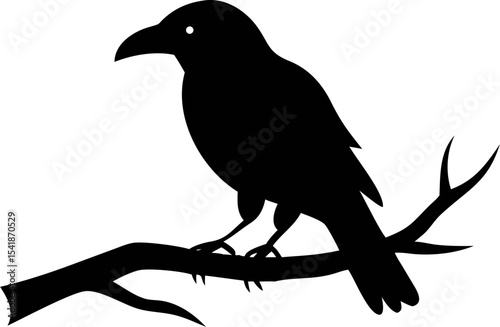raven on a branch