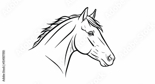 Horse Head Outline Drawing

