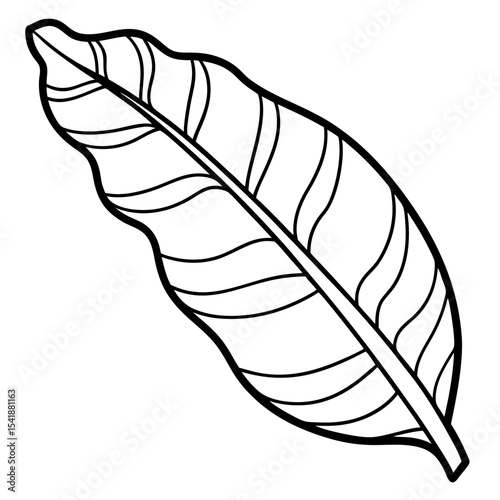 hand with feather