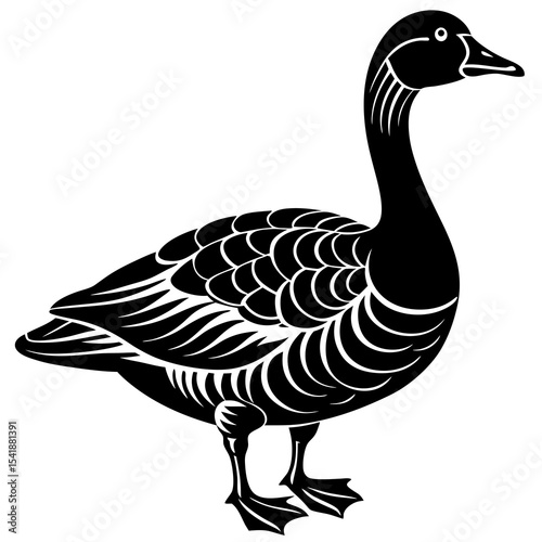 duck vector illustration