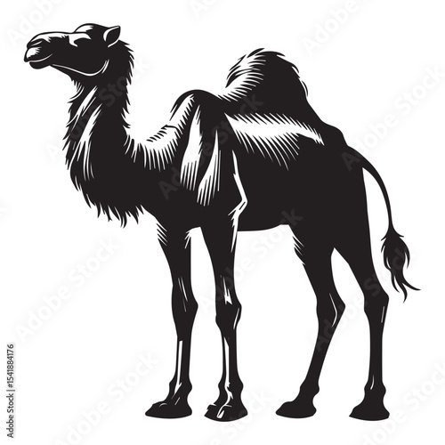 Sahara camel caravan design featuring desert camel silhouette clipart and Arabic animal graphics

