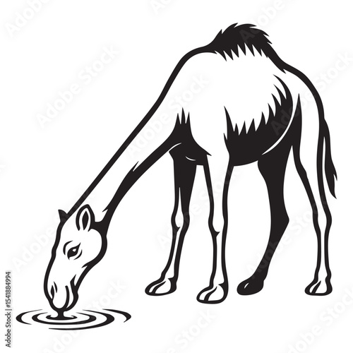 Arabic Camel Silhouette Clipart Desert Animal Graphic for Sahara Caravan Sublimation

