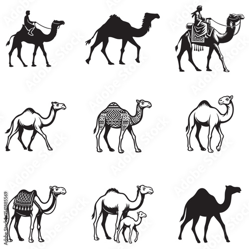bundle of Desert Camel silhouette clipart, Desert Arabic Animal graphic, Sahara Camel Caravan design sublimation
