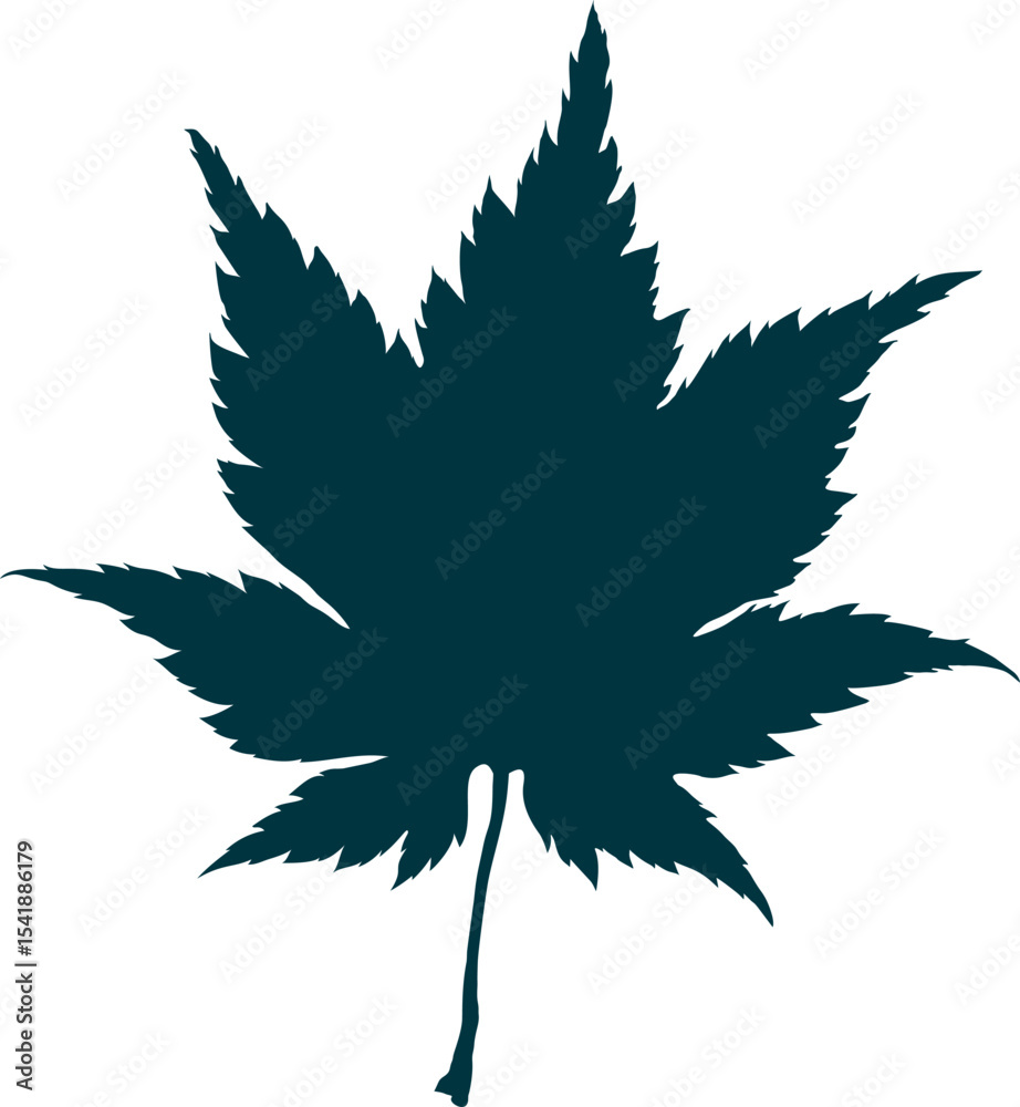 Fototapeta premium Hand-drawn maple leaf silhouette isolated on white background. Flat line style vector illustration.