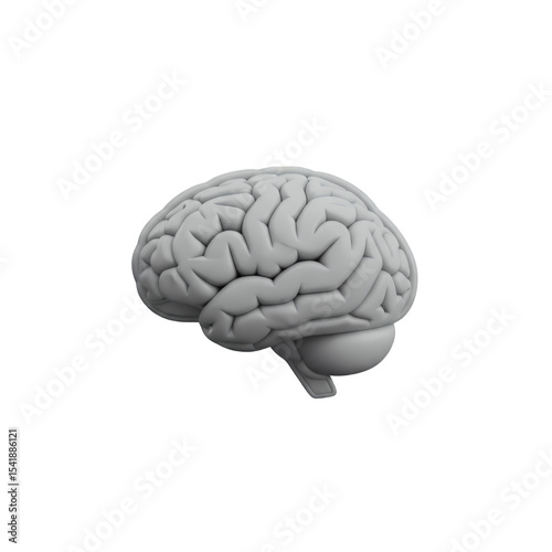 3D Render of Human Brain Model on Transparent Background, Anatomical Illustration for Medical, Scientific, or Educational Purposes - Isolated