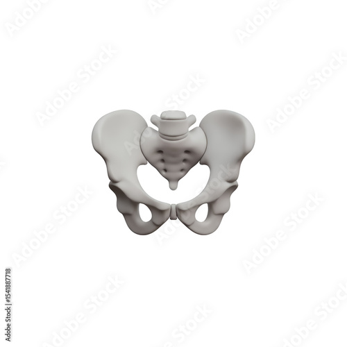 Human Pelvis Bone Anatomy on Transparent Background: Detailed Medical Illustration for Educational Resources and Healthcare Professionals