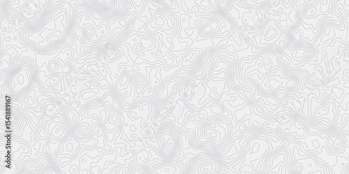 white and grey smooth topography gurve wave out line creativity grid pattern design web banner modern wave white background. 
