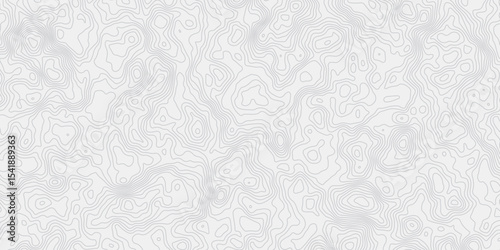 white and grey smooth topography gurve wave out line creativity grid pattern design web banner modern wave white background. 