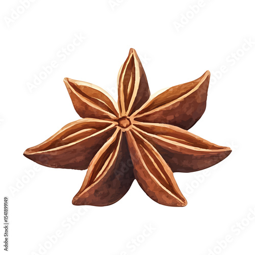 Watercolor star anise spice illustration detailed food ingredient isolated on transparent background