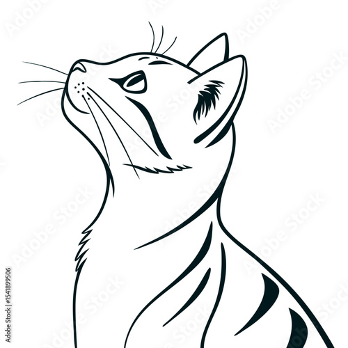 Black and white illustration of a cat looking up with detailed features and elegant lines
