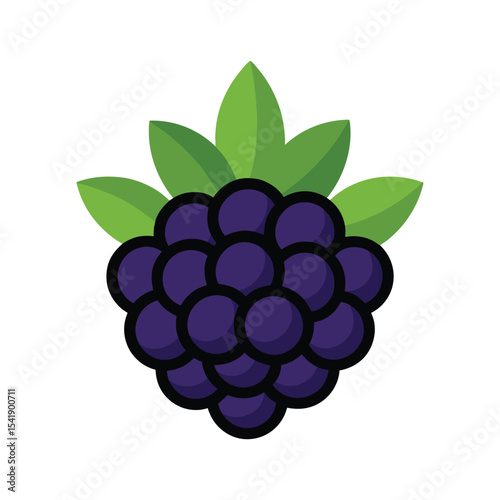 Juicy Blackberries A Delightful Illustration of Summer Berries