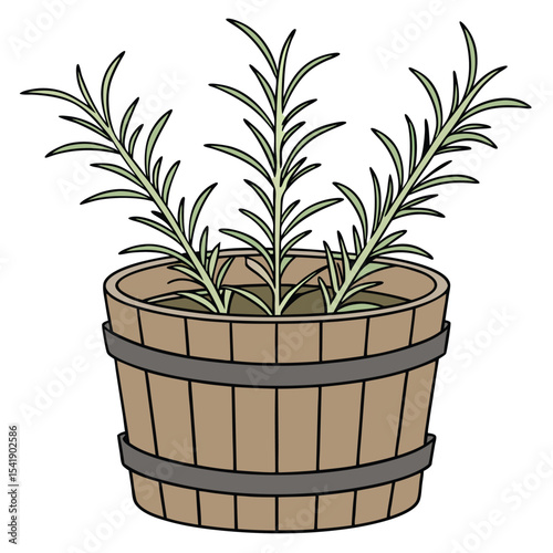 A vibrant potted houseplant with lush green leaves, perfect for indoor decoration and home gardening