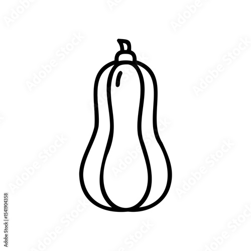 Black Line Art Drawing of a Butternut Squash Vegetable Isolated on White Background Autumn Handmade Illustration