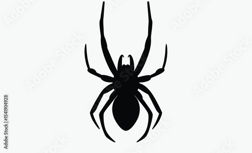 Spider hanging silhouette, halloween web vector, creepy insect icon, Silhouette of a spider hanging from a web, halloween vector 