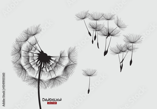 Wild flower dandelion in a vector style isolated. Vector flower for background, dandelion flying wall decal children's room 