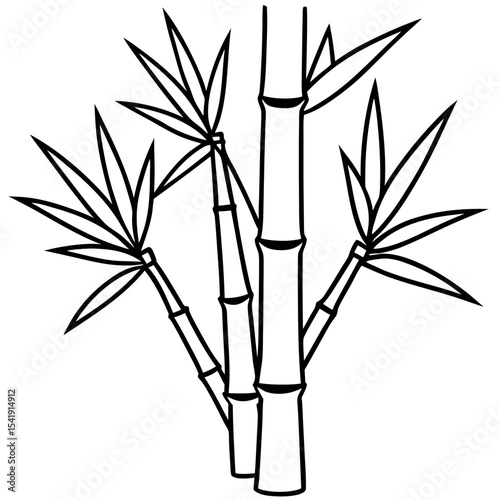 Black and White Bamboo Line Drawing Vector