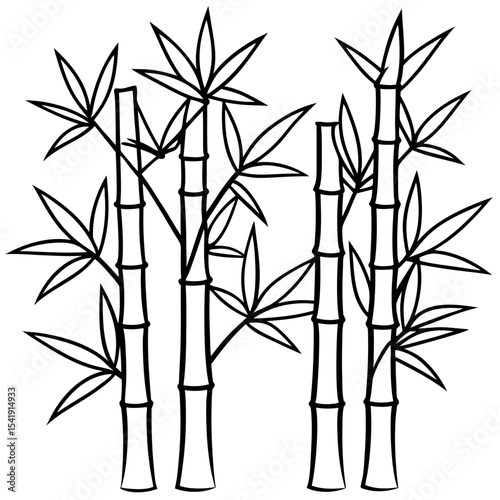 Black and White Bamboo Line Drawing Vector