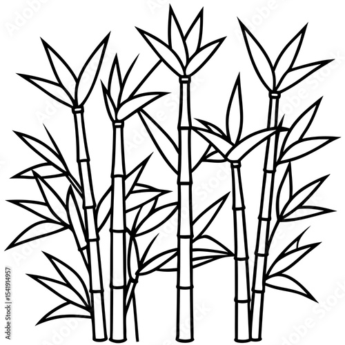 Black and White Bamboo Line Drawing Vector