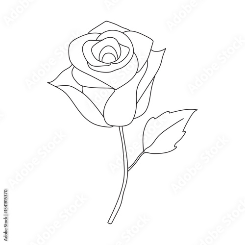Single line drawing of a rose flower
