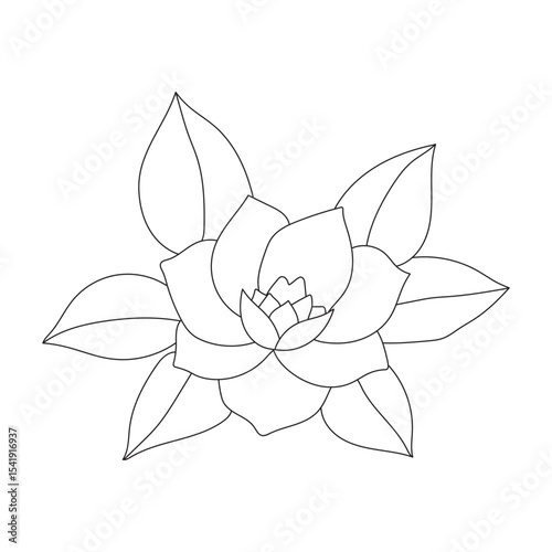 Simple line drawing of a camellia flower