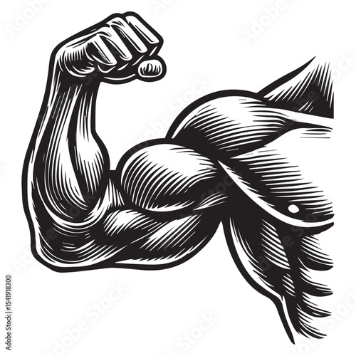 bodybuilder Lifting Weights clipart, funny Gym silhouette, exercise work out illustration, bodybuilder design sublimation
