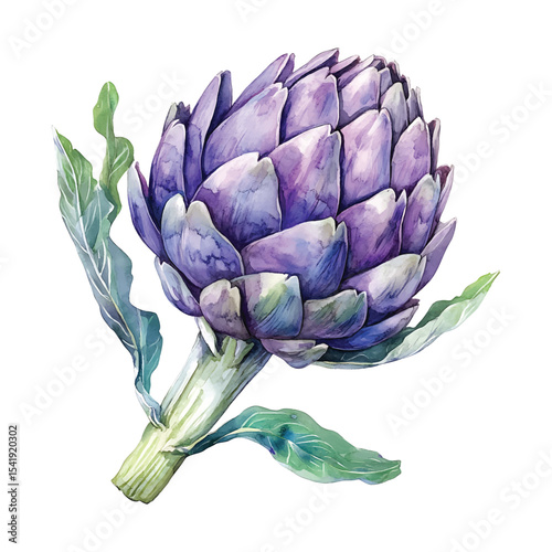 Watercolor illustration of purple artichoke with leaves isolated on transparent background